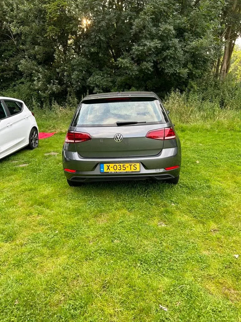 Volkswagen Golf VII Golf 1.6 TDI 115pk 7-DSG 2019 Grijs uit 2019, foto 13