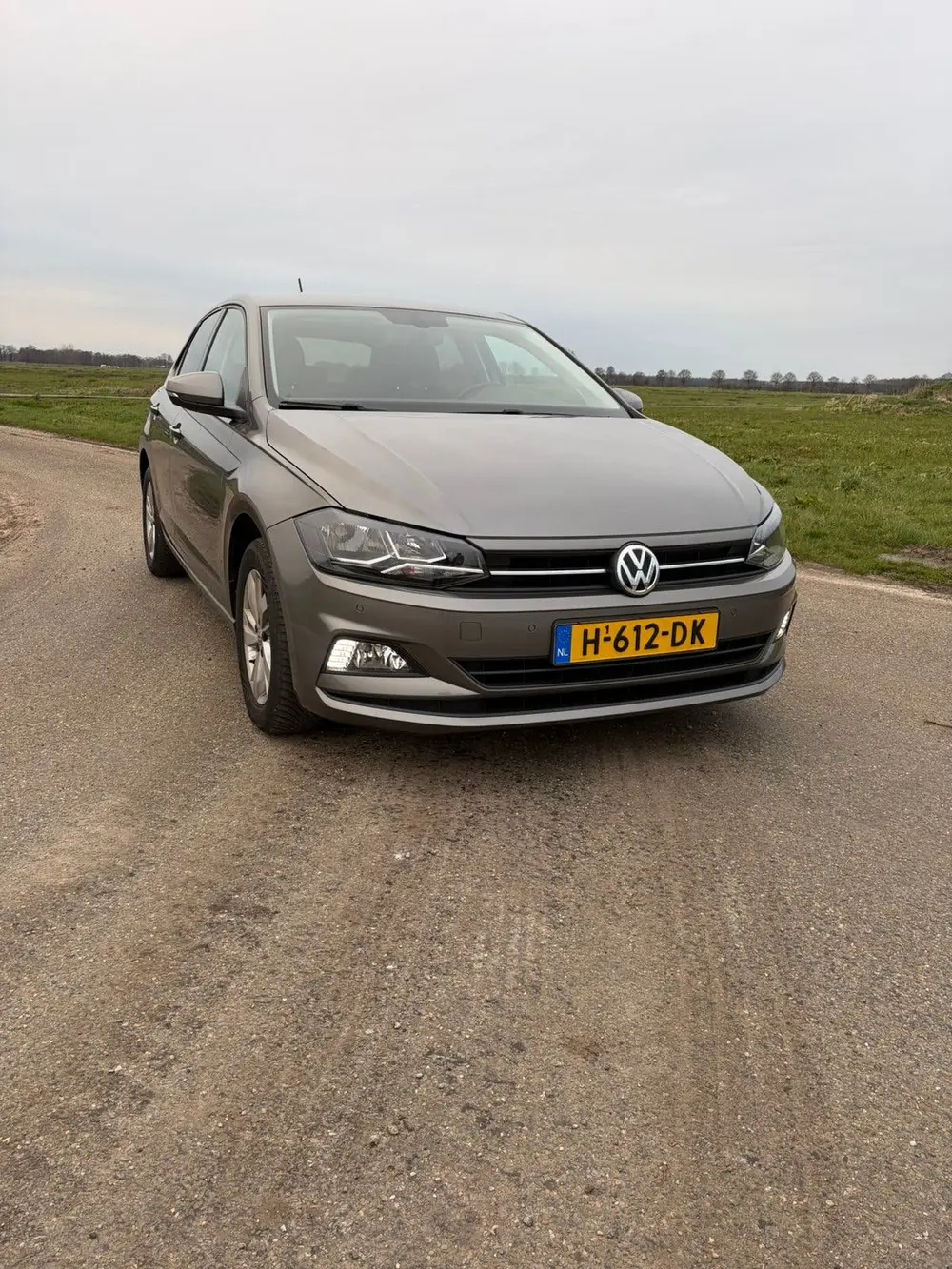 Volkswagen Polo 1.0 TGI 90pk 2020 Grijs uit 2020