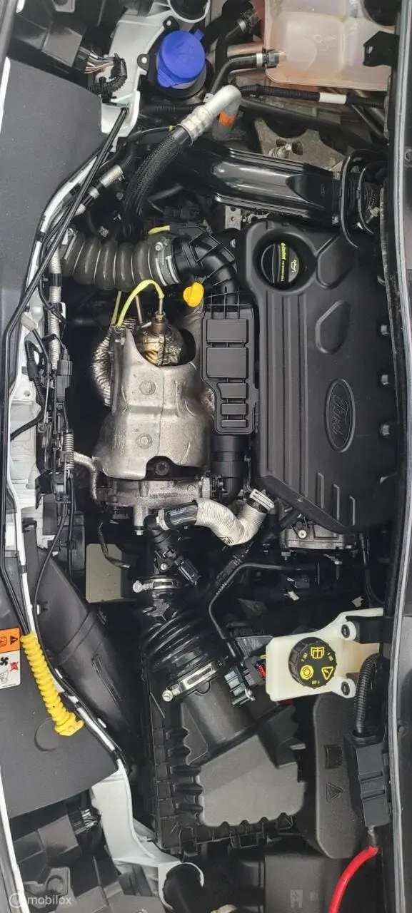 Ford Transit 1.5 TDCI L1 Ambiente uit 2019, foto 14