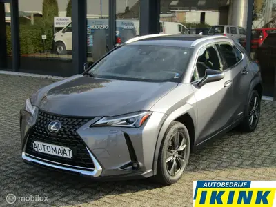Lexus UX 250h Business Line | Camera, Trekhaak uit 2019