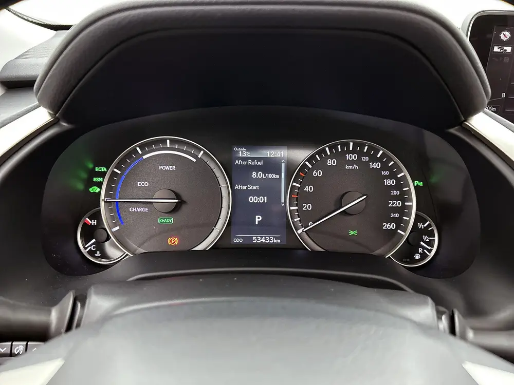 Lexus RX 450h 4WD President Line | Trekhaak | Panoramisch Sc uit 2019, foto 6