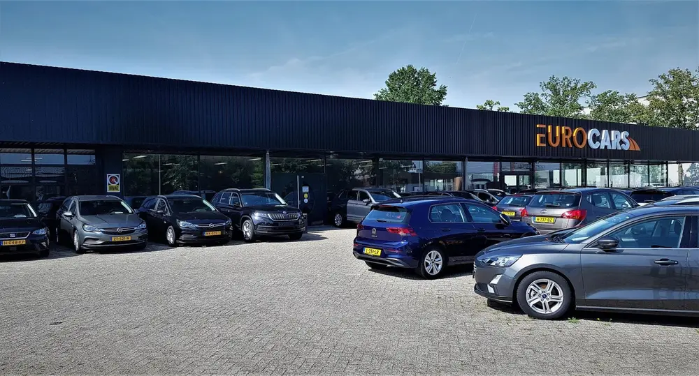Volkswagen Polo 1.0 TSI Life 110pk Automaat Navigatie Apple uit 2025, foto 3