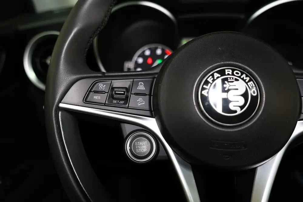 Alfa Romeo Stelvio 2.0 T AWD Super 44000 km ! AVM MEMORY CAM uit 2019, foto 19