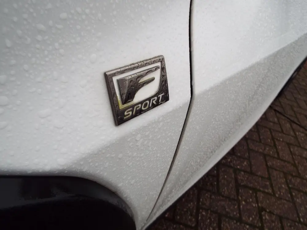 Lexus UX 250h F Sport First Edition NL AUTO-TREKHAAK-LEER-ST uit 2019, foto 7