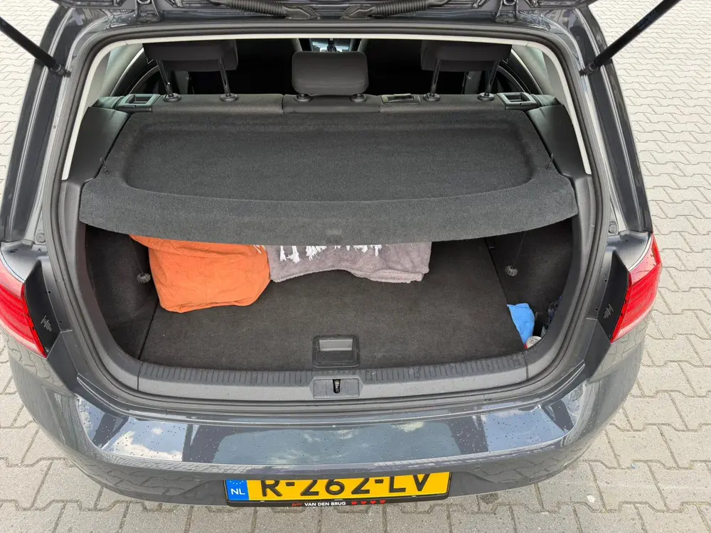 Volkswagen Golf E- Golf 2020 uit 2020, foto 13