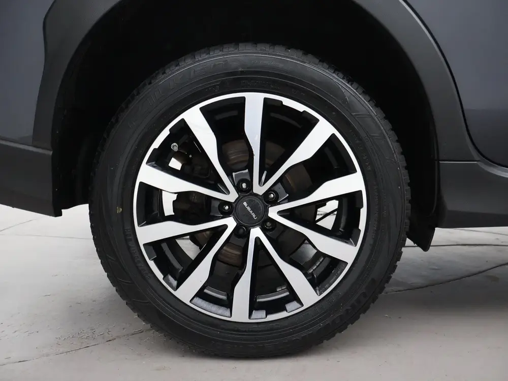 Subaru XV 2.0i e-BOXER AUT. AWD LUXURY + TREKHAAK | CAMERA | uit 2020, foto 12