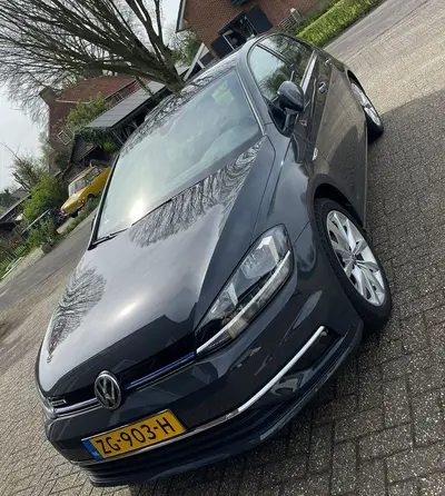 Volkswagen Golf VII Golf 1.5 TSI 130pk 7-DSG Bluemotion 2019 Grijs uit 2019