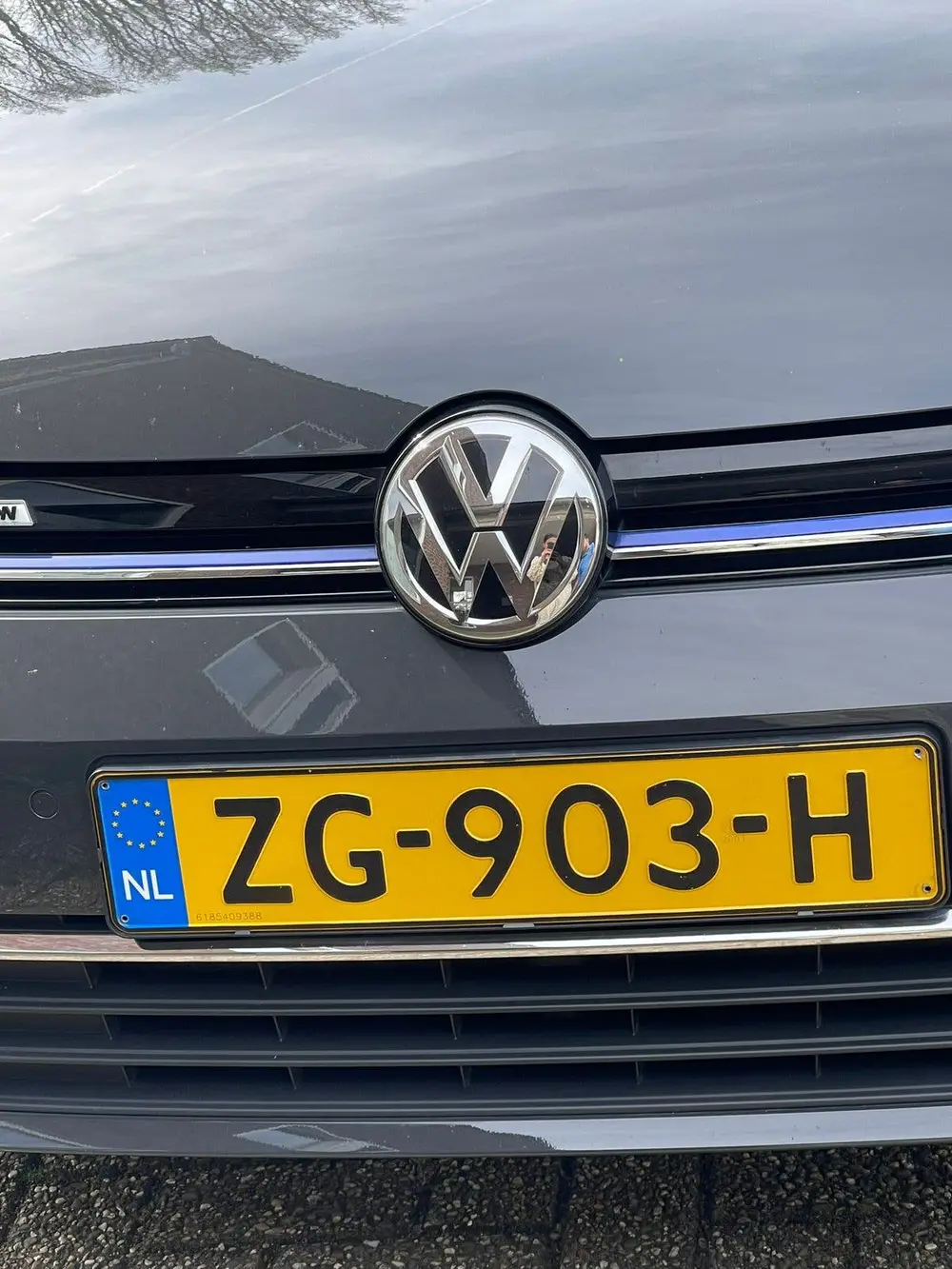 Volkswagen Golf VII Golf 1.5 TSI 130pk 7-DSG Bluemotion 2019 Grijs uit 2019, foto 4