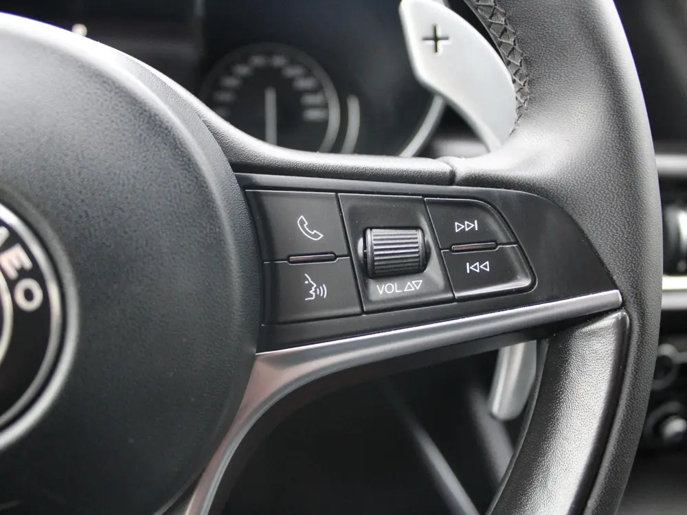 Alfa Romeo Stelvio 2.2d Super | STOELVERWARMING | LEDEREN BE uit 2019, foto 19