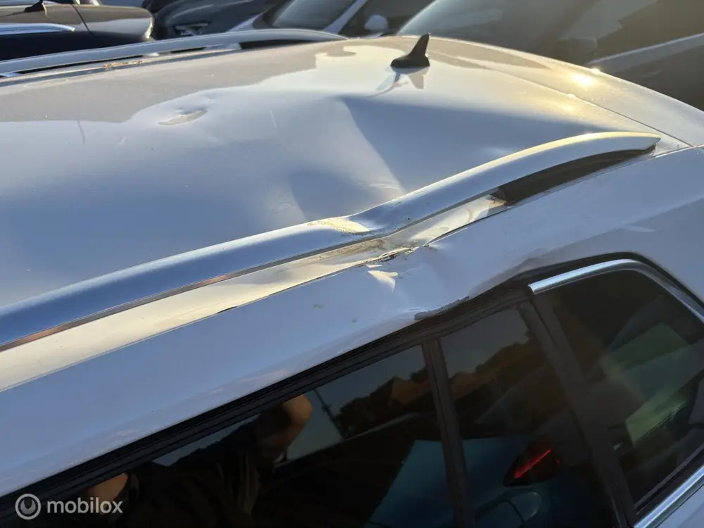 Volkswagen Tiguan 2.0 TSI 4Motion Highline / DAKSCHADE uit 2019, foto 4
