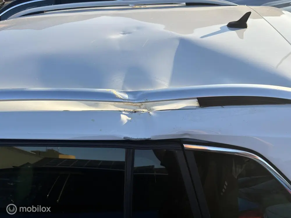 Volkswagen Tiguan 2.0 TSI 4Motion Highline / DAKSCHADE uit 2019, foto 5