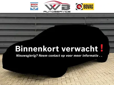 Volkswagen T-Roc 1.5 TSI R Line I Alcant I Blind Spot I Came uit 2021
