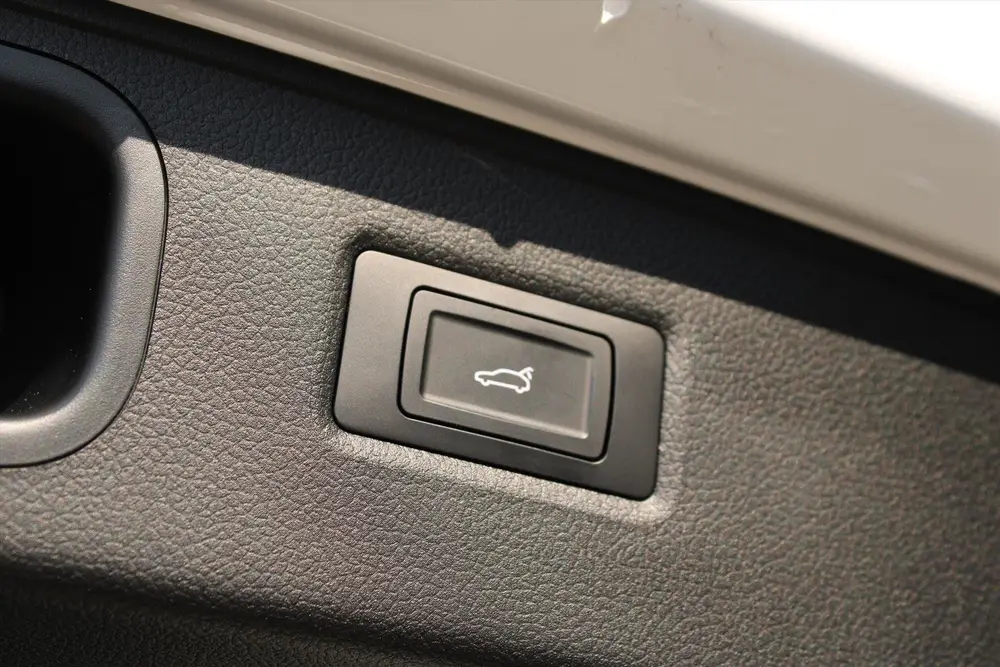 Voyah Free BEV 106 KWH Flagship Edition 4WD 490pk I Luchtver uit 2025, foto 16