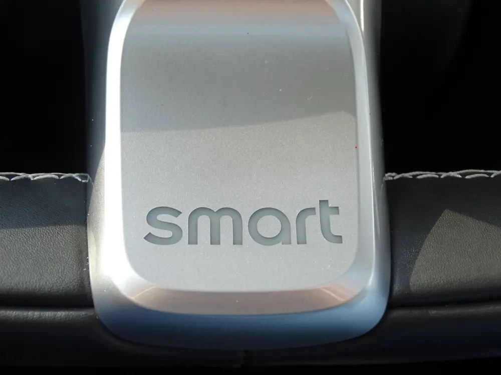 Smart #1 Pro+ 66 kWh|Leder|Pano|360 Cam|Trekhaak uit 2023, foto 13