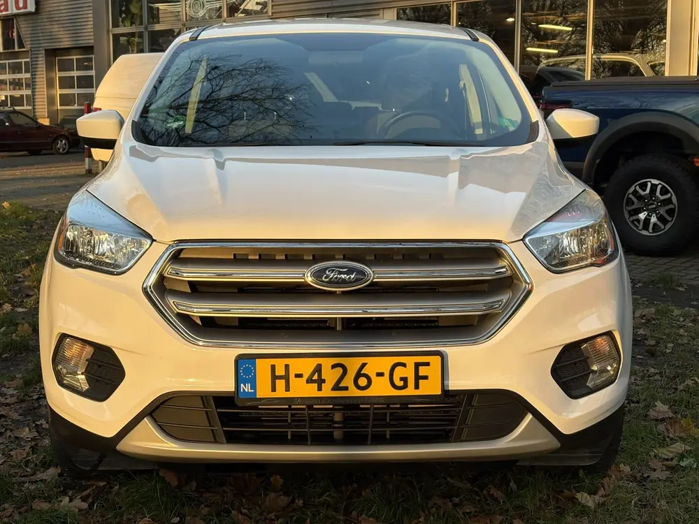 Ford Escape 2.0L EcoBoost 4WD (bj 2019, automaat) uit 2019, foto 2
