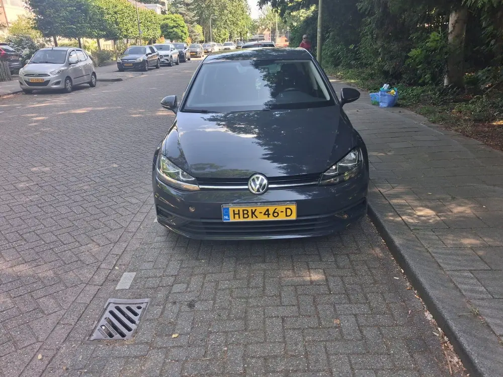 Volkswagen Golf VII Golf 1.0 TSI 115pk 2020 Grijs uit 2020, foto 2