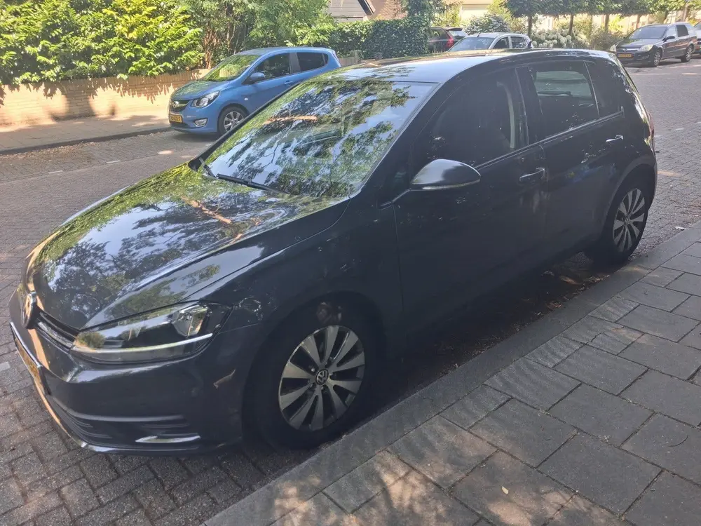 Volkswagen Golf VII Golf 1.0 TSI 115pk 2020 Grijs uit 2020, foto 3