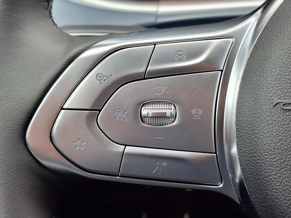 Voyah Free Business Edition 4WD 106 kWh | Schuifdak | Luchtv uit 2026, foto 17
