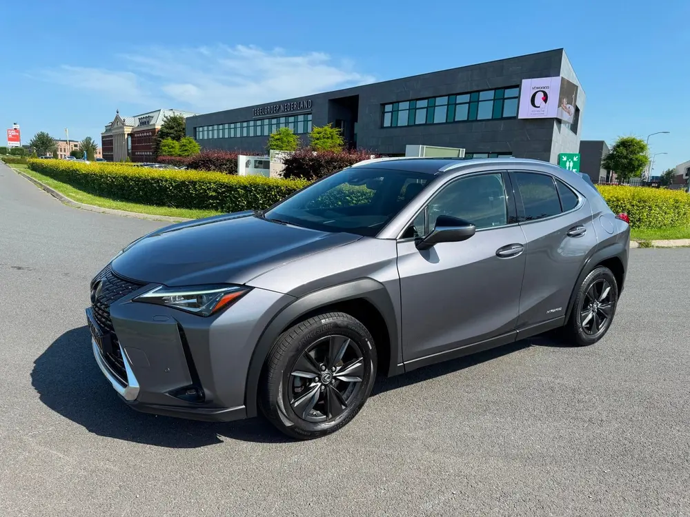 Lexus UX 250h Business Line Aut, Acc, Stoelvrw, Navi, Pdc, C uit 2019, foto 5