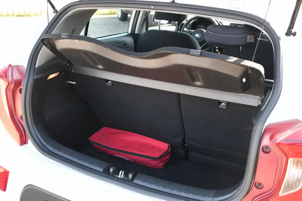 Kia Picanto 1.0 CVVT EconomyPlusLine 1 EIGENAAR/ HILL HOLD uit 2019, foto 10