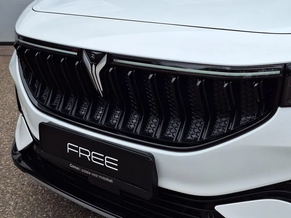 Voyah Free Flagship Edition 4WD 106 kWh | Black Line | Panor uit 2026, foto 5