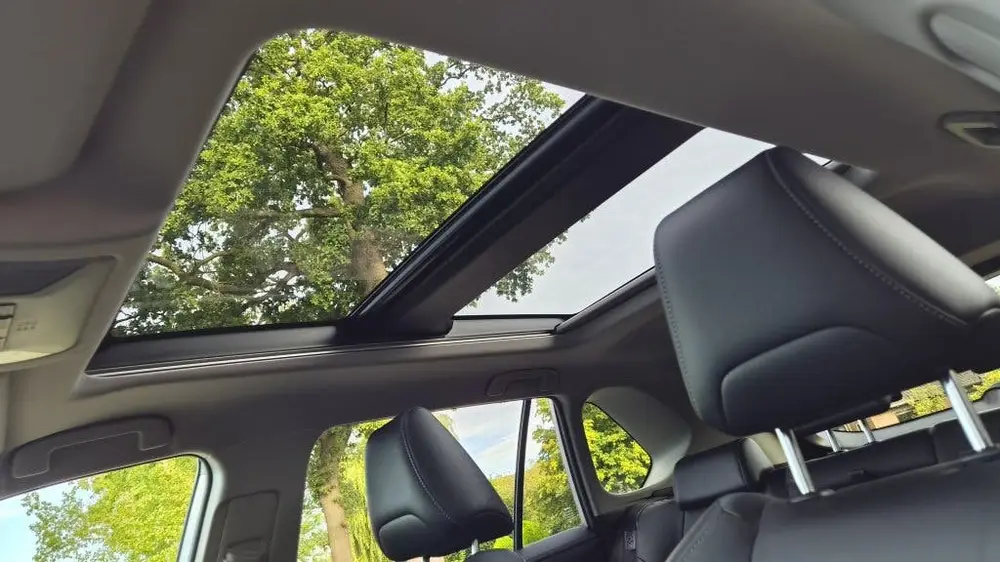 Toyota RAV4 2.5 Hybrid Executive Bearlock, Pano, BSM, Trekha uit 2019, foto 13