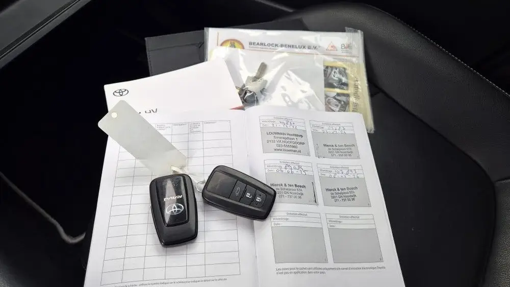 Toyota RAV4 2.5 Hybrid Executive Bearlock, Pano, BSM, Trekha uit 2019, foto 14