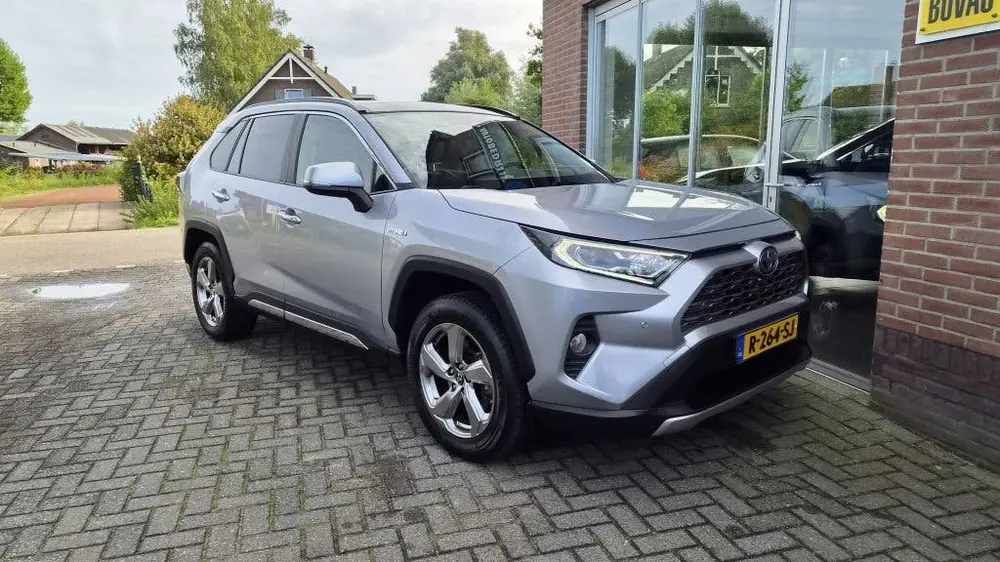 Toyota RAV4 2.5 Hybrid Executive Bearlock, Pano, BSM, Trekha uit 2019, foto 7